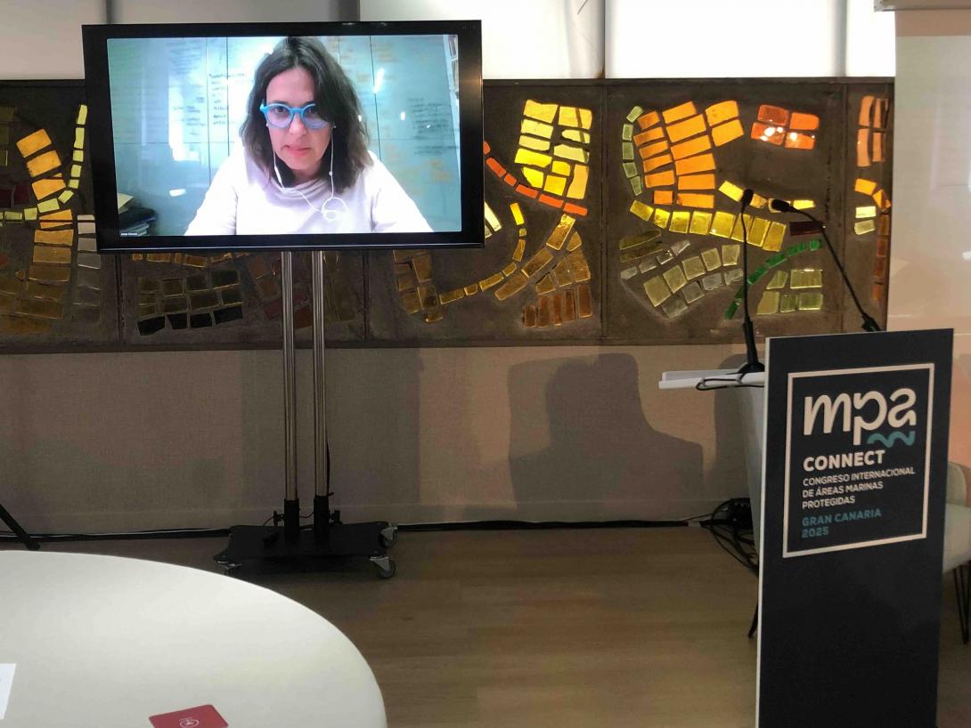 Estrada, durante su videoconferencia.